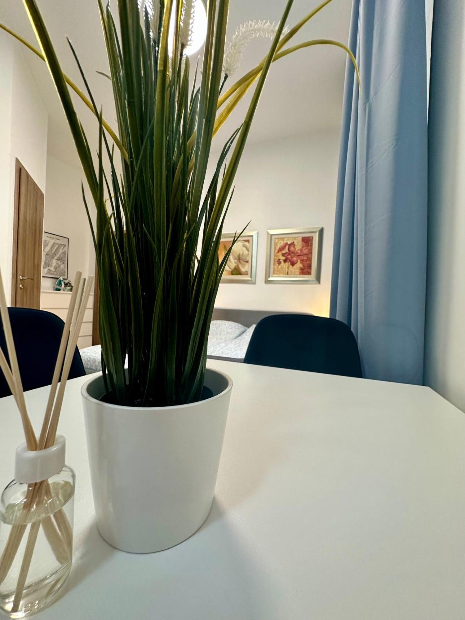Cozy Centre Apartments Budapest Esterno foto